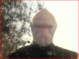 Résultat de recherche d'images pour "critters 2"