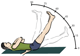 「herniated intervertebral disc  slrt」的圖片搜尋結果