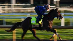 Which Kentucky Derby horses are running in the 2026 Preakness Stakes?