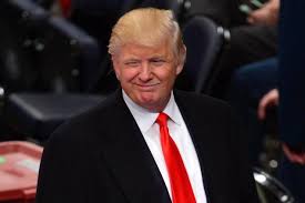 Image result for clown nose nydailynews