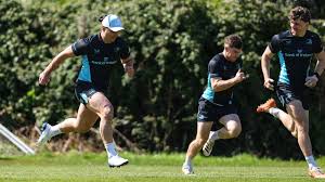 James Lowe back in training as Leinster will wait and see on Furlong’s fitness ahead of Toulon clash