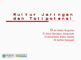 Image result for komputer terapan jaringan pdf