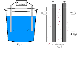 Image result for free energy