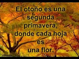 Bildresultat för OTOÑO