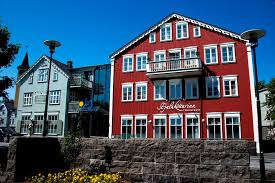 Image result for Reykjavik