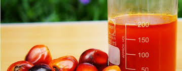 Image result for oil palm news