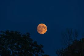 National Geographic España - News update