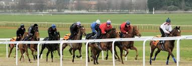 Image result for british horse trainers