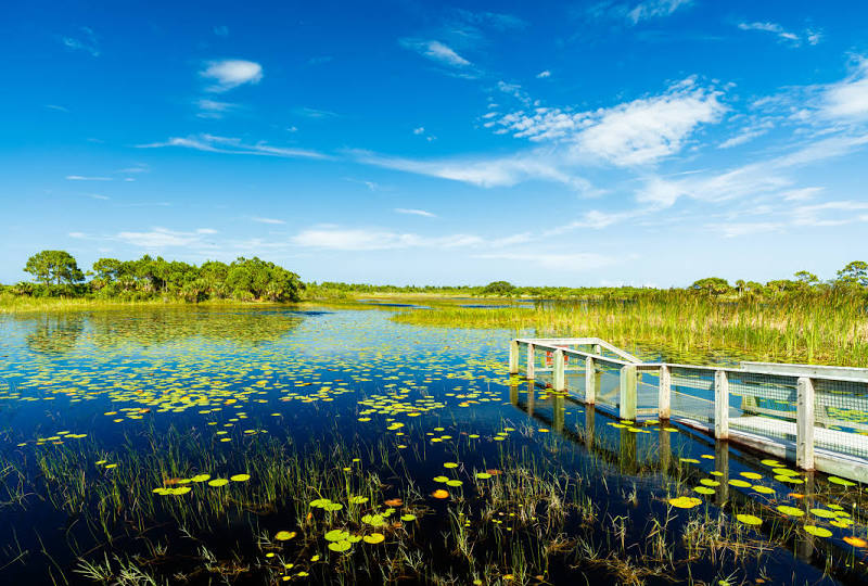 Port St. Lucie