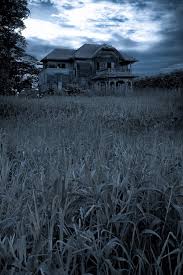 Image result for Haunted house