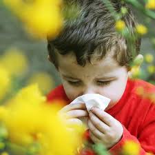 Allergie aux pollens : symptômes et conseils pour les enfants