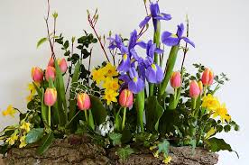 Rsultat de recherche d'images pour "image bouquet de fleurs gratuite"