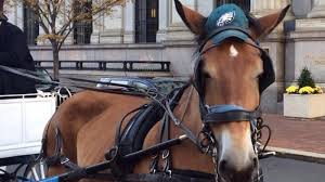 images?q=tbn:ANd9GcQ8T07i7njhZZv2yPCZWgKgJNQdCS9rTc3jDTFXzPsUFt0c6qj3