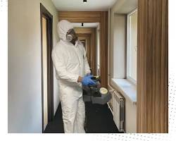 Image de pest control inspection apartment building hallway professional royalty free