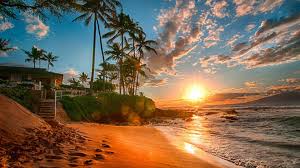 Image result for hawaii