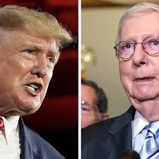 Lãnh đạo phe Cộng hòa bức xúc vụ FBI đột kích nhà ông Trump ...