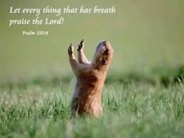 Image result for people praising god