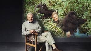 How to watch Making Life On Earth: Attenborough’s Greatest Adventure in the US