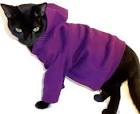 Simply Sphynx Cat Clothes by SimplySphynx on Etsy