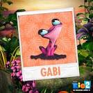 kaka 2 parrots kissing images of lovers