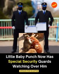 Lazett - Ichikawa City Zoo has shared a new update about ...