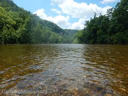 Image result for "Alley Spring"