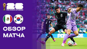 Sportbox