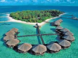 [Image: images?q=tbn:ANd9GcQ94vFuuYibx0qrbUiuvM3...8J_34YxRQQ]