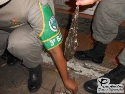 Resultado de imagem para pesca rs