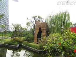 Image result for organisms and their environment