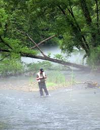 Bildergebnis für pulltite spring