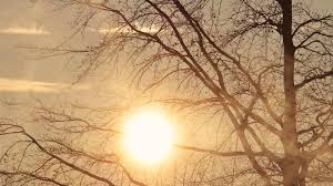 BUCUREȘTI: Temperaturi peste media lunii ianuarie, până marţi dimineaţa