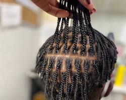 Image of Micro Braids for Men
