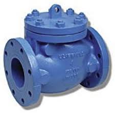 PACE Supply | Swing Check Valve, 6 in, Flange, Cast Iron