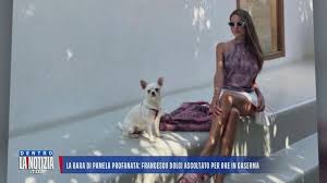 Trend Google: francesco dolci