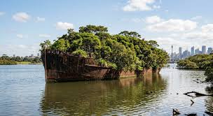 Navio abandonado há 50 anos virou floresta flutuante com árvores crescendo sobre o casco enferrujado
