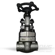 Forged ASTM A182 F51 Globe Valve, 1/2 Inch, 800 LB, API 602 ...