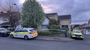 Woman, 40s, dies after Waterford city assault