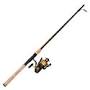 PENN Spinfisher V Combo DICK S Sporting Goods