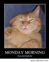 Monday morning picture US Humor - Funny pictures, Quotes, Pics ... via Relatably.com