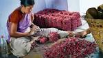 order firecrackers will affect Diwali,