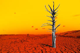 The Latest Data on El Niño Is a Looming Nightmare
