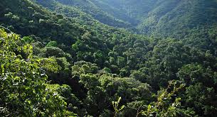 Tokeo la picha la udzungwa national park tanzania