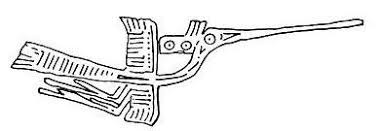 Kết quả hình ảnh cho Chim Hac images