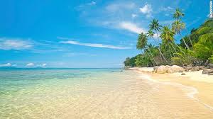 Image result for PANTAI ARFA
