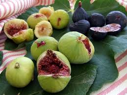 Risultati immagini per fico brogiotto