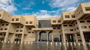 صحيفة صدى الالكترونية - News update