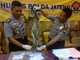 Hasil gambar untuk FOTO-FOTO KORBAN GUNUNG API