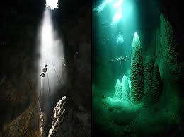 Afbeeldingsresultaat voor bonito brazil