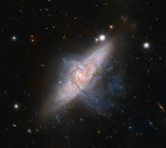 Image result for galaxy  NGC 2442